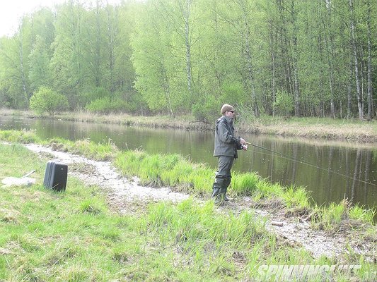 Изображение 1 : Отчет 16.05.2016 - малая речка  Гороховка, разловил Maximus  - Black Widow MSBW24M 