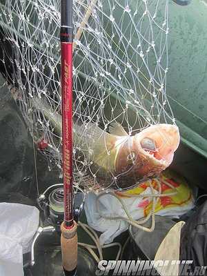 Изображение 1 : Отчет о рыбалке. Часть 2 – Как ловить на джиг больше? Решение проблем