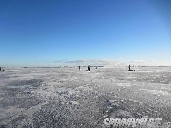 Изображение 1 : Отчёт от рыбалке на Финском заливе - Ольгино - 21.01.2017