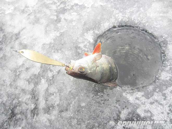 Изображение 1 : Отчёт о рыбалке 03 февраля 2017 – Леднёво