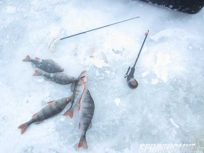Изображение 1 : Отчёт о рыбалке 03 февраля 2017 – Леднёво