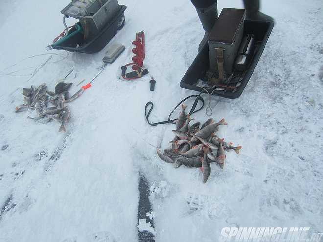 Изображение 1 : Отчёт о рыбалке - 05.02.2017 – Ольгино