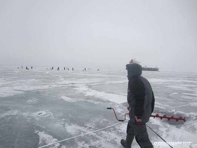 Изображение 1 : Отчёт о рыбалке - Финский залив - Ольгино - "судак на дальних берегах"