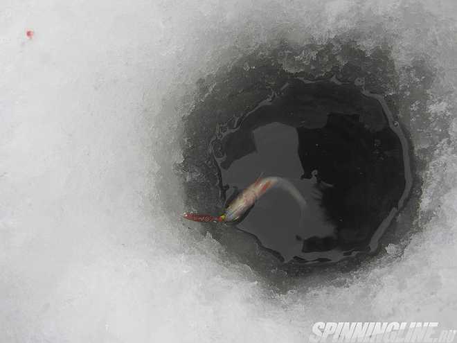 Изображение 1 : Отчёт о рыбалке 26.02.2017 - Яхтклуб в посёлке Стрельна, г. Санкт-Петербург