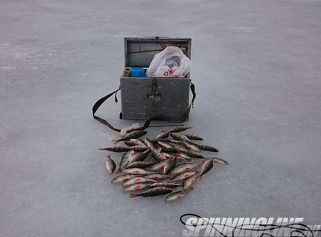 Изображение 1 : Отчёт о рыбалке на Финском заливе - Последний лёд 2017 - 1. 