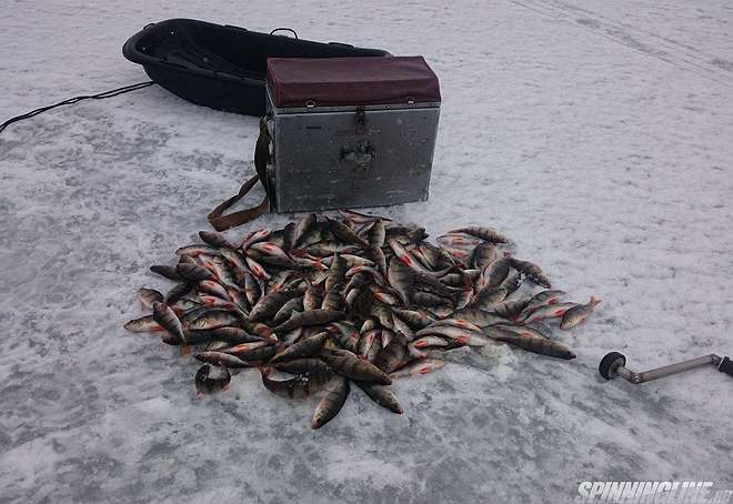 Изображение 1 : Отчёт о рыбалке на Финском заливе - Последний лёд 2017 - 2.
