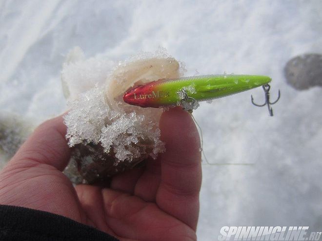 Изображение 3 : Отчёт о рыбалке - судак на Финском заливе со льда на раттлины и балансиры